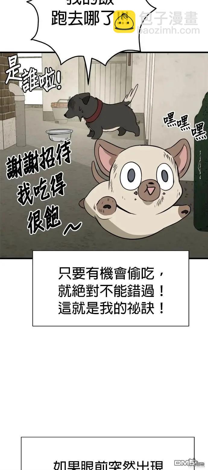 🍸狗狗末日生存法 第34话 第27页