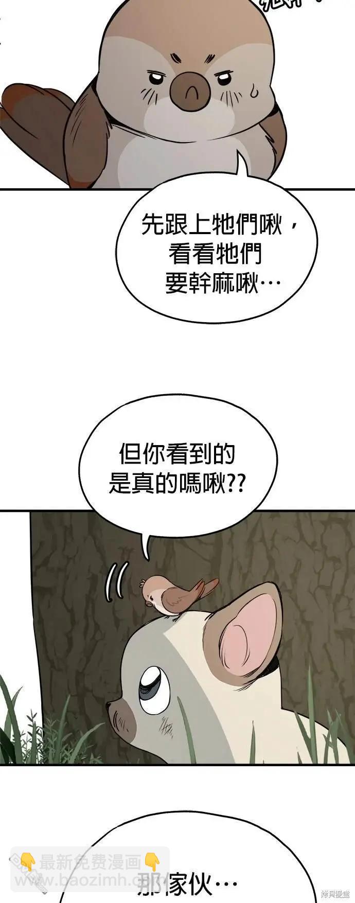 🍸狗狗末日生存法 第34话 第34页