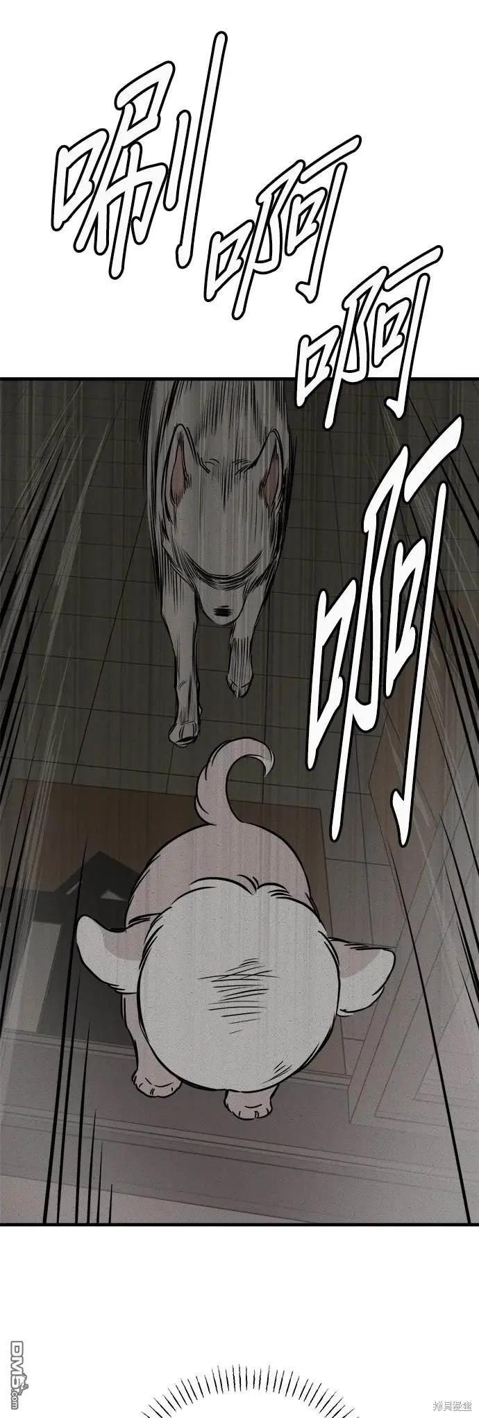🍸狗狗末日生存法 第34话 第37页