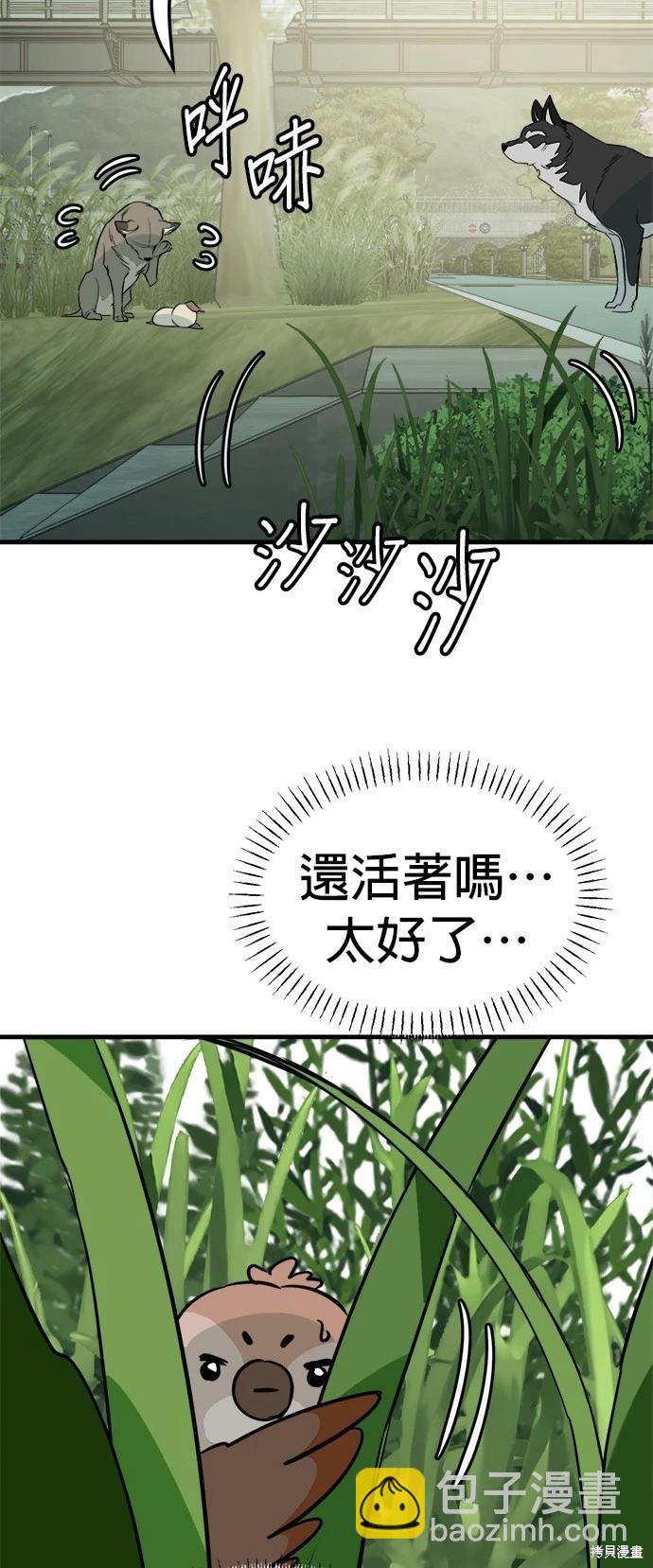 🍸狗狗末日生存法 第36话 第10页
