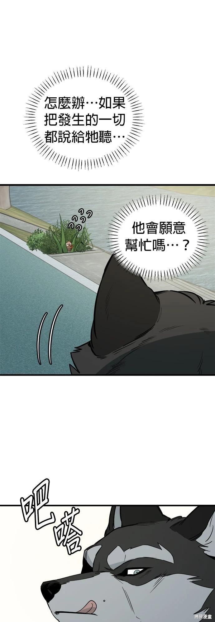 🍸狗狗末日生存法 第36话 第13页