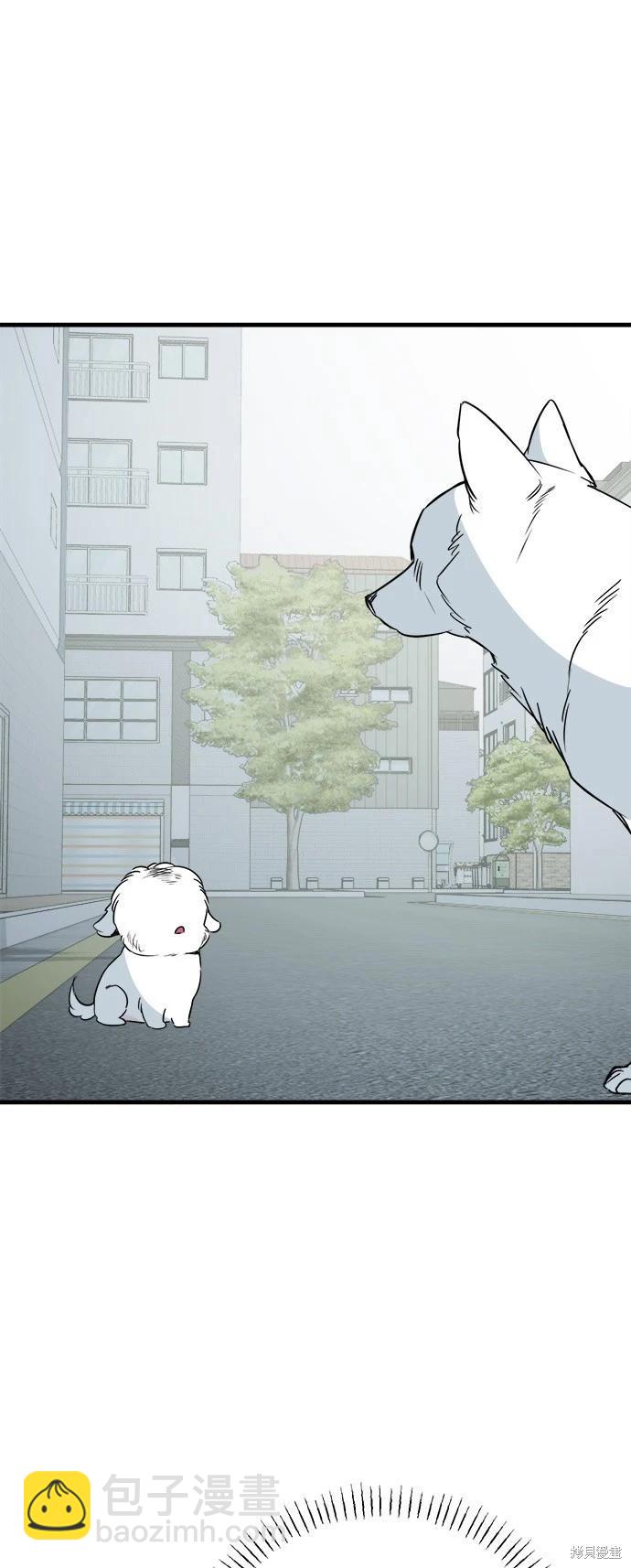 🍸狗狗末日生存法 第36话 第27页