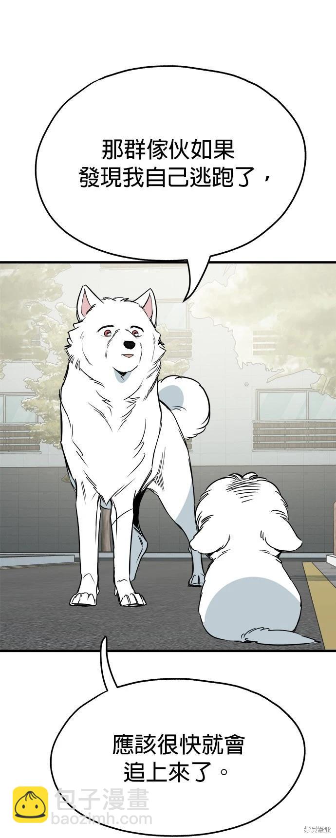 🍸狗狗末日生存法 第36话 第29页