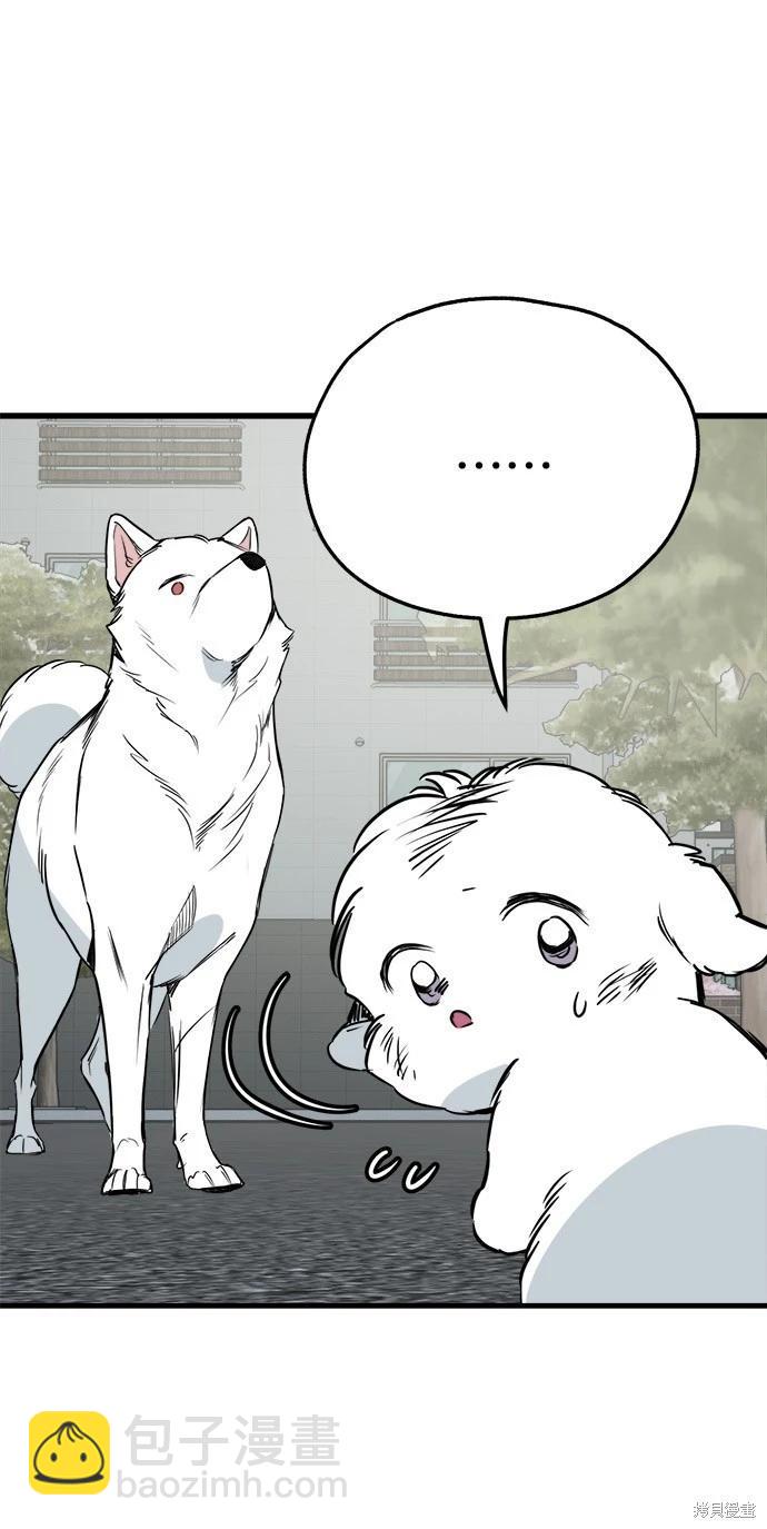 🍸狗狗末日生存法 第36话 第33页