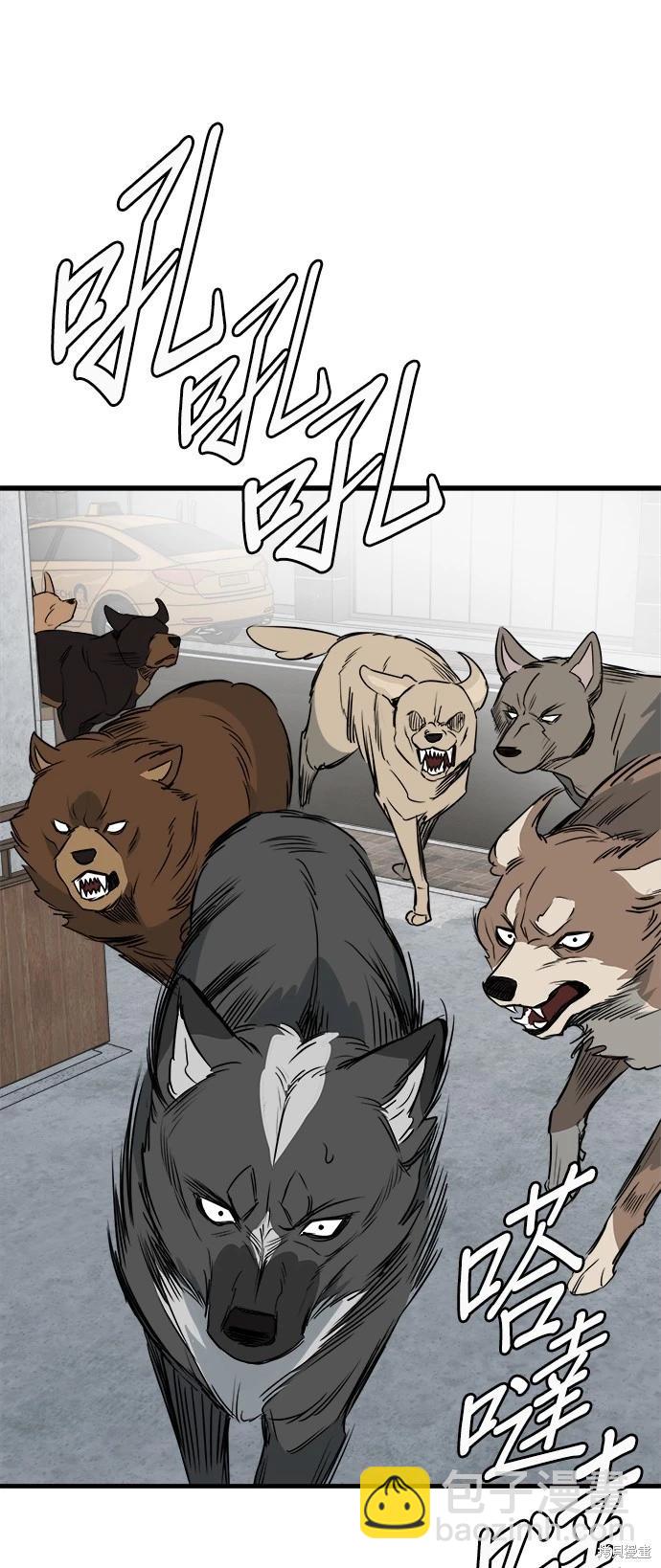 🍸狗狗末日生存法 第38话 第13页
