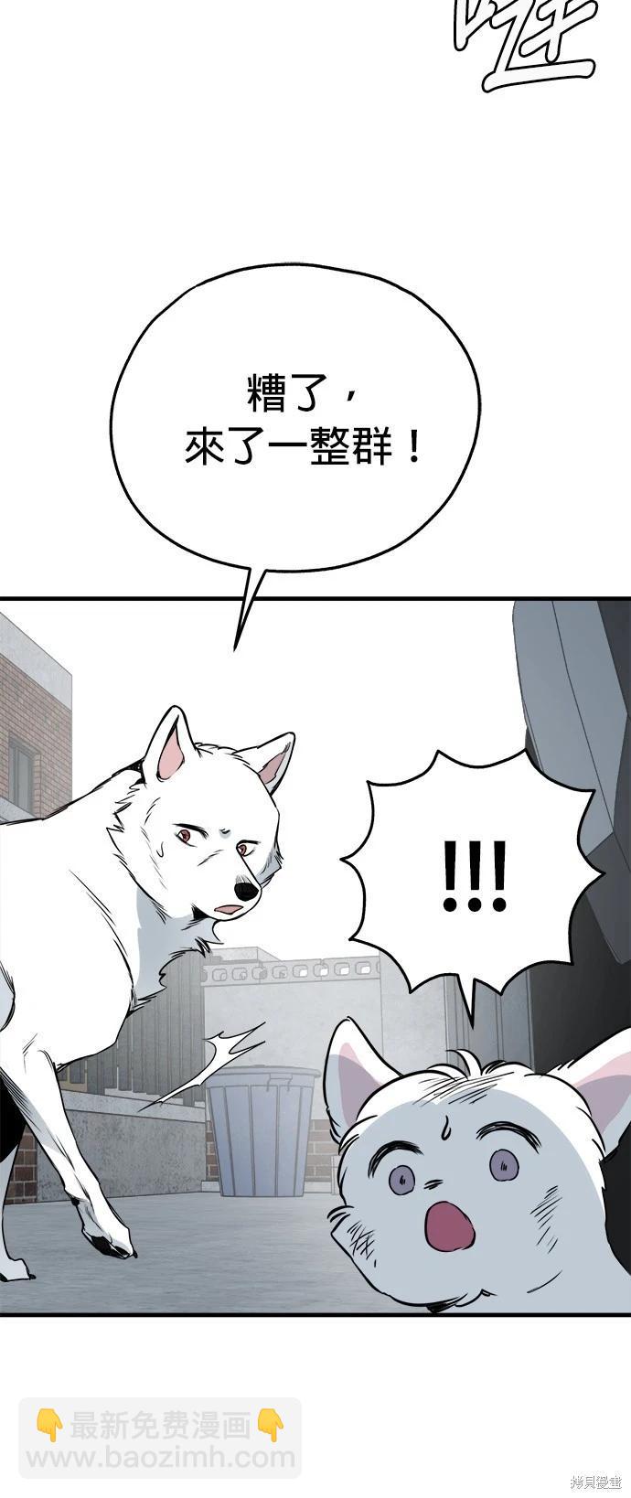 🍸狗狗末日生存法 第38话 第14页