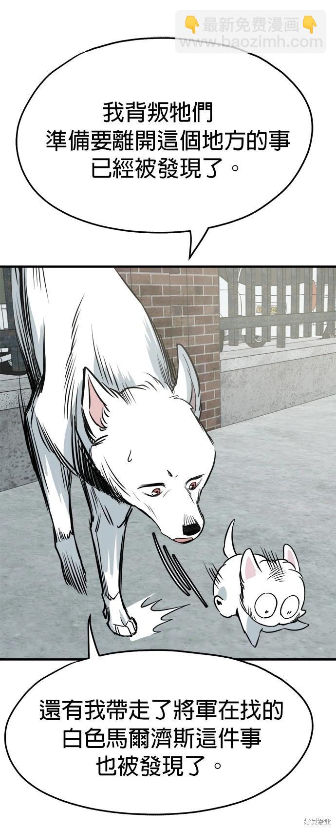 🍸狗狗末日生存法 第38话 第17页