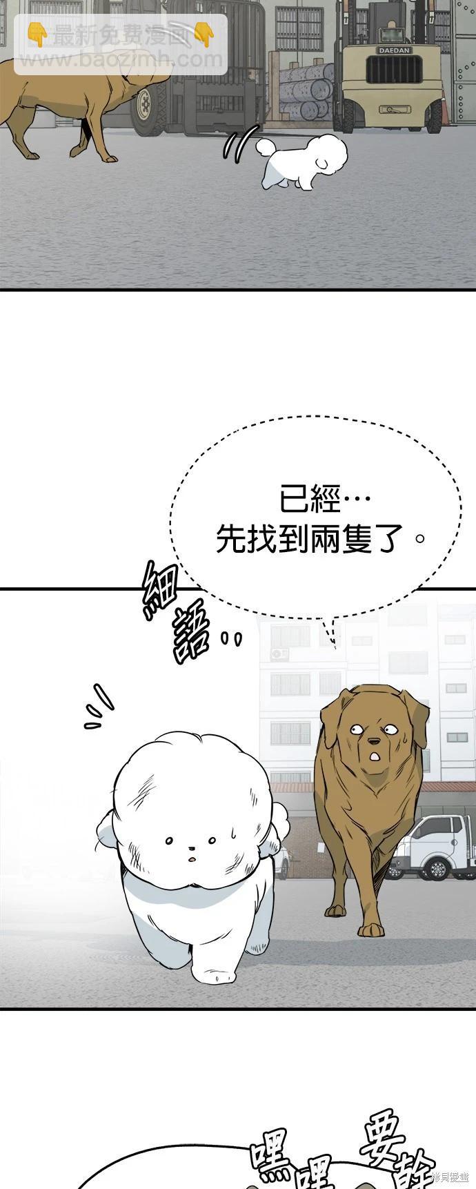 🍸狗狗末日生存法 第38话 第26页