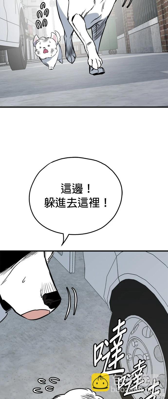🍸狗狗末日生存法 第38话 第3页