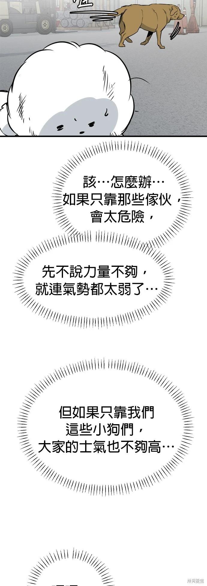 🍸狗狗末日生存法 第38话 第30页