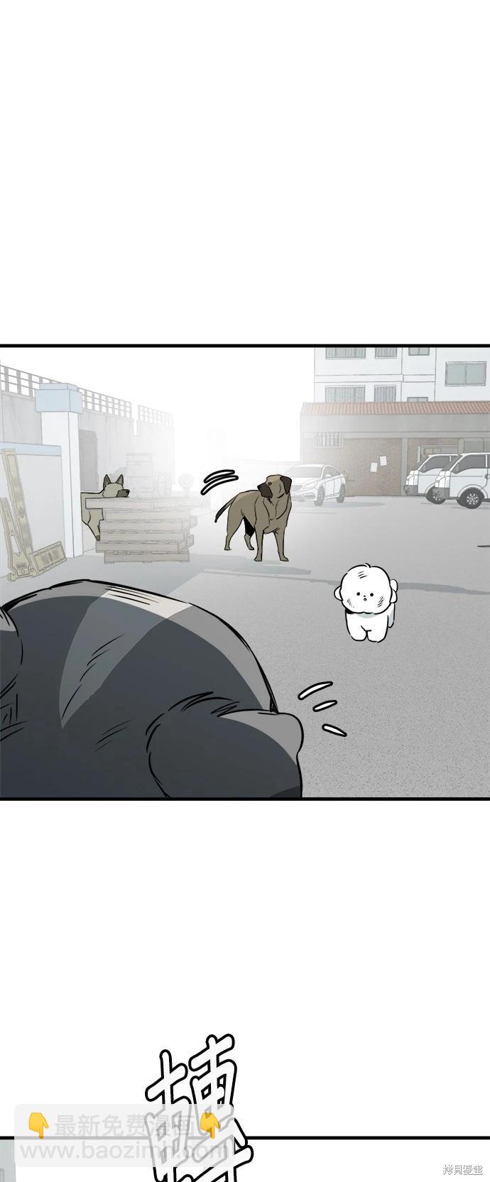 🍸狗狗末日生存法 第38话 第35页