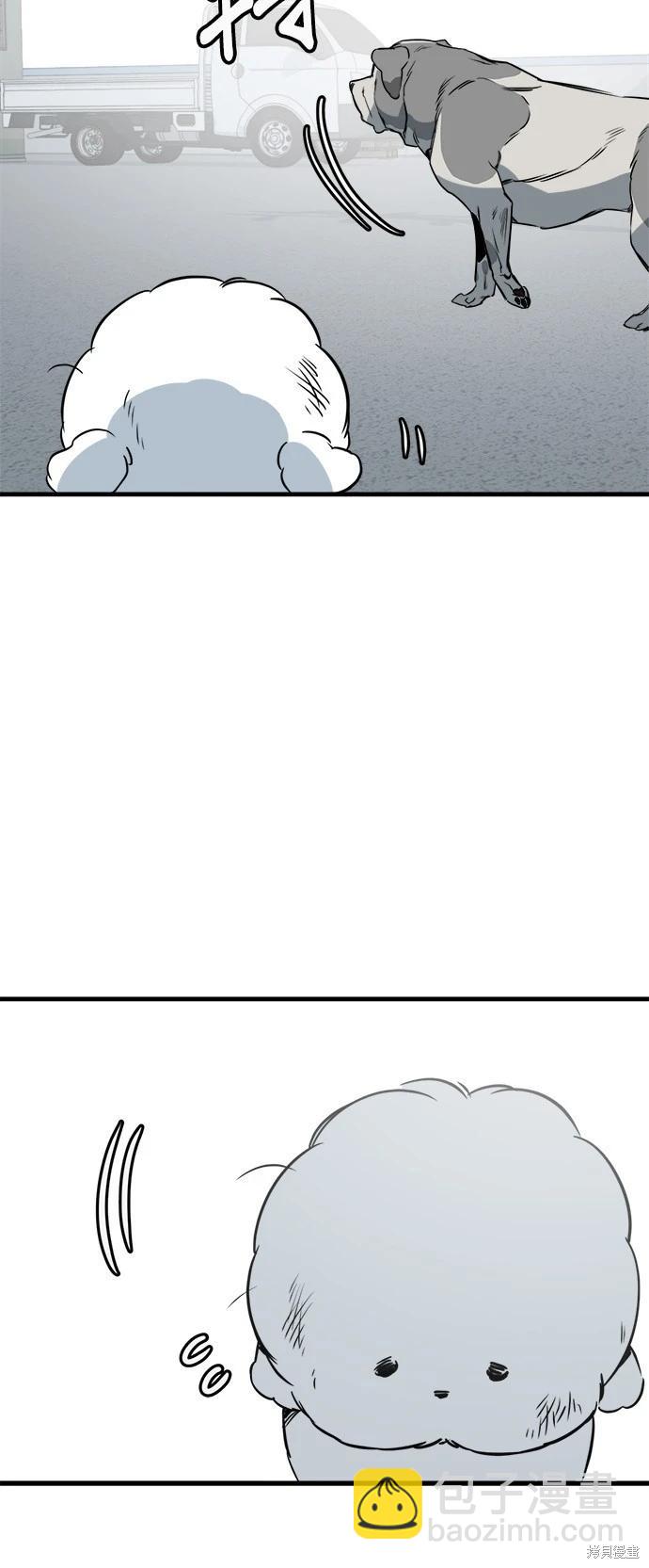🍸狗狗末日生存法 第38话 第36页