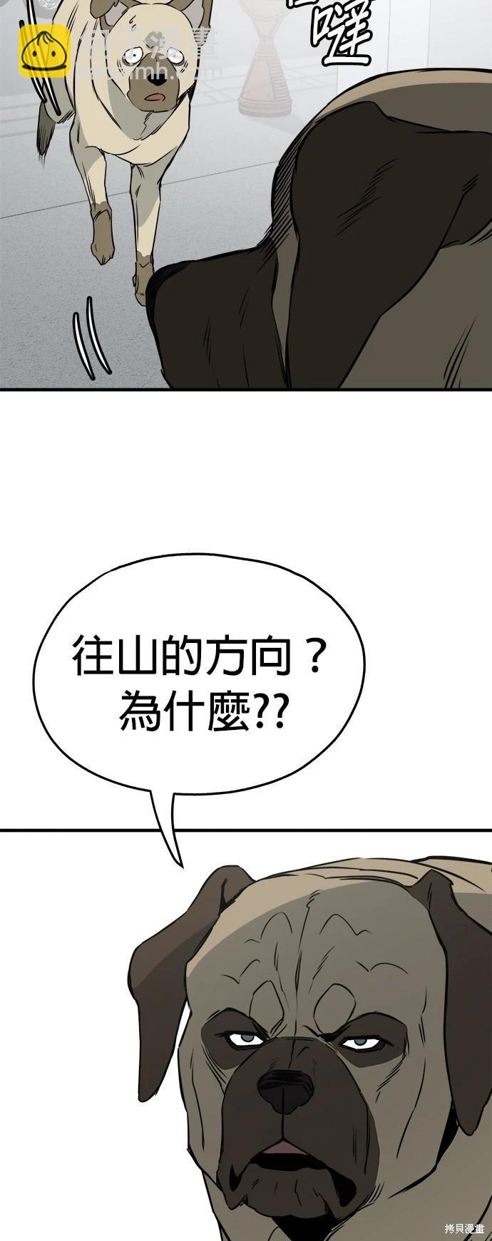 🍸狗狗末日生存法 第38话 第39页