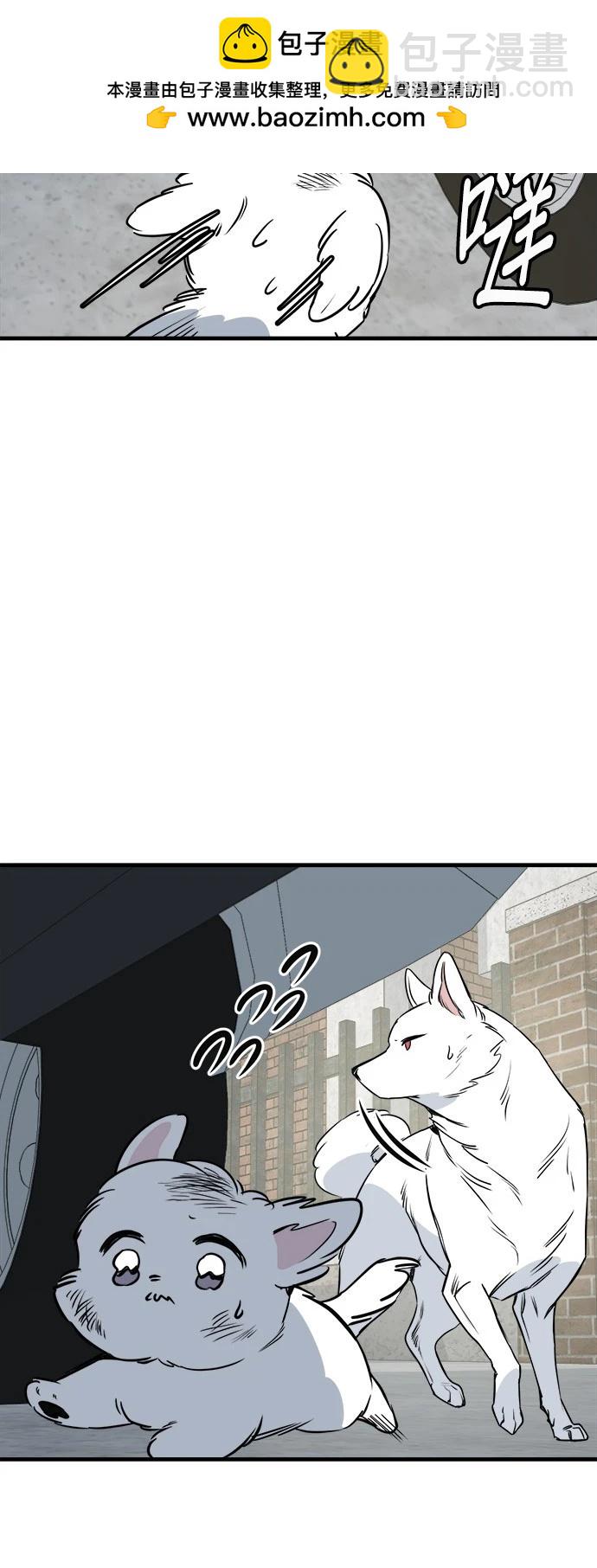 🍸狗狗末日生存法 第38话 第4页