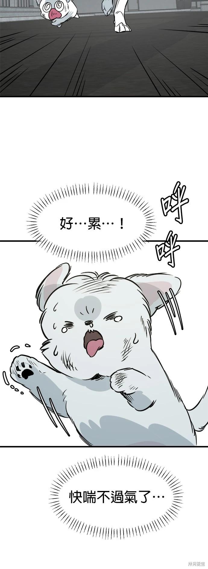 🍸狗狗末日生存法 第38话 第43页