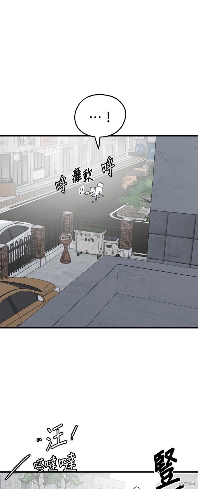 🍸狗狗末日生存法 第38话 第45页