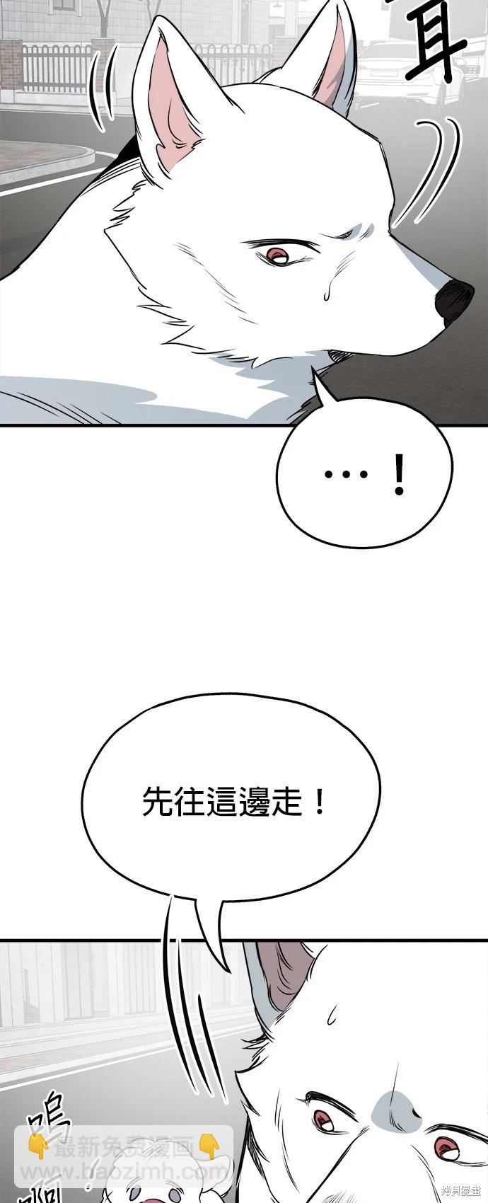 🍸狗狗末日生存法 第38话 第46页