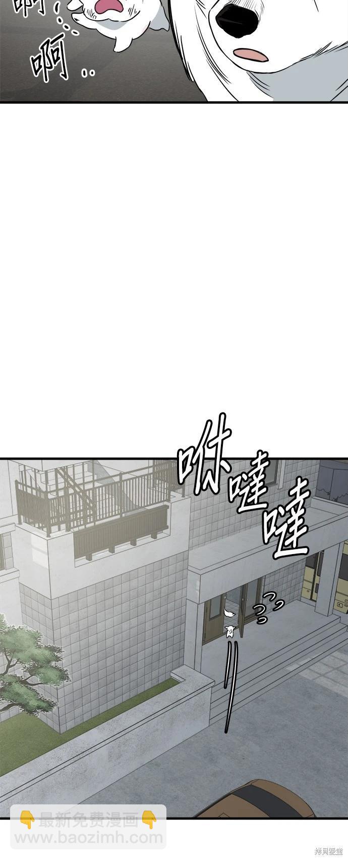 🍸狗狗末日生存法 第38话 第47页