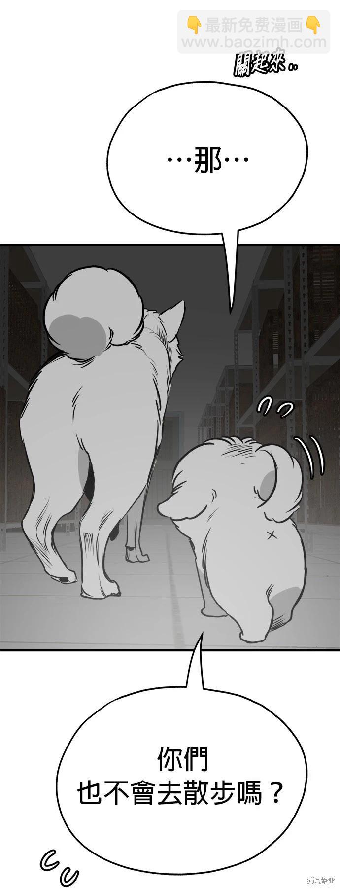 🍸狗狗末日生存法 第40话 第13页