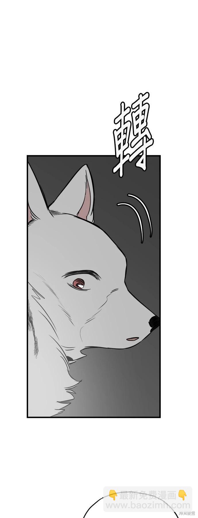 🍸狗狗末日生存法 第40话 第14页