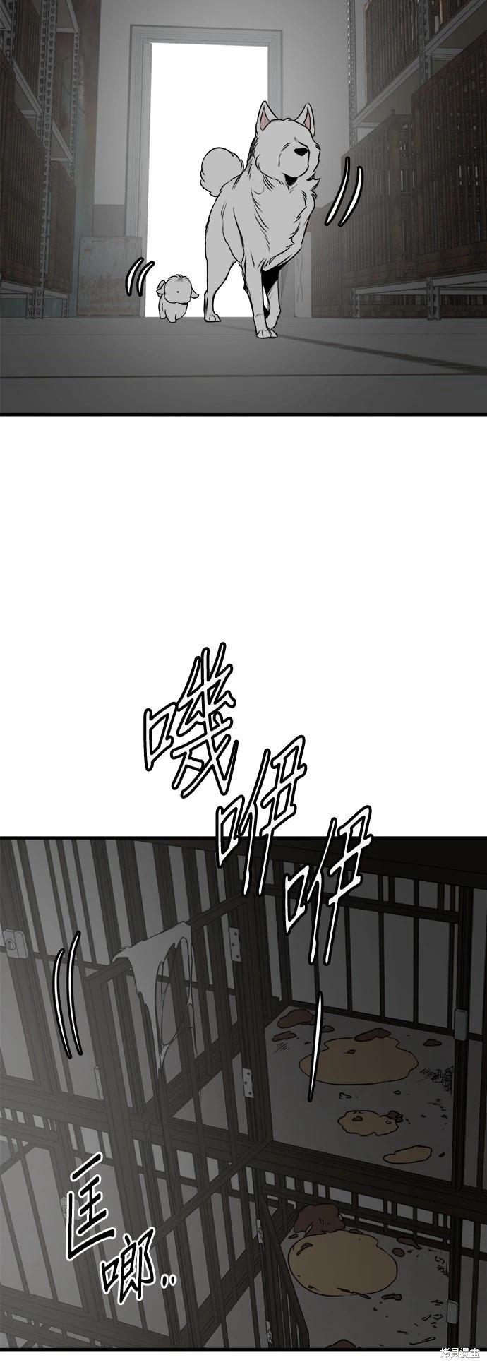 🍸狗狗末日生存法 第40话 第3页