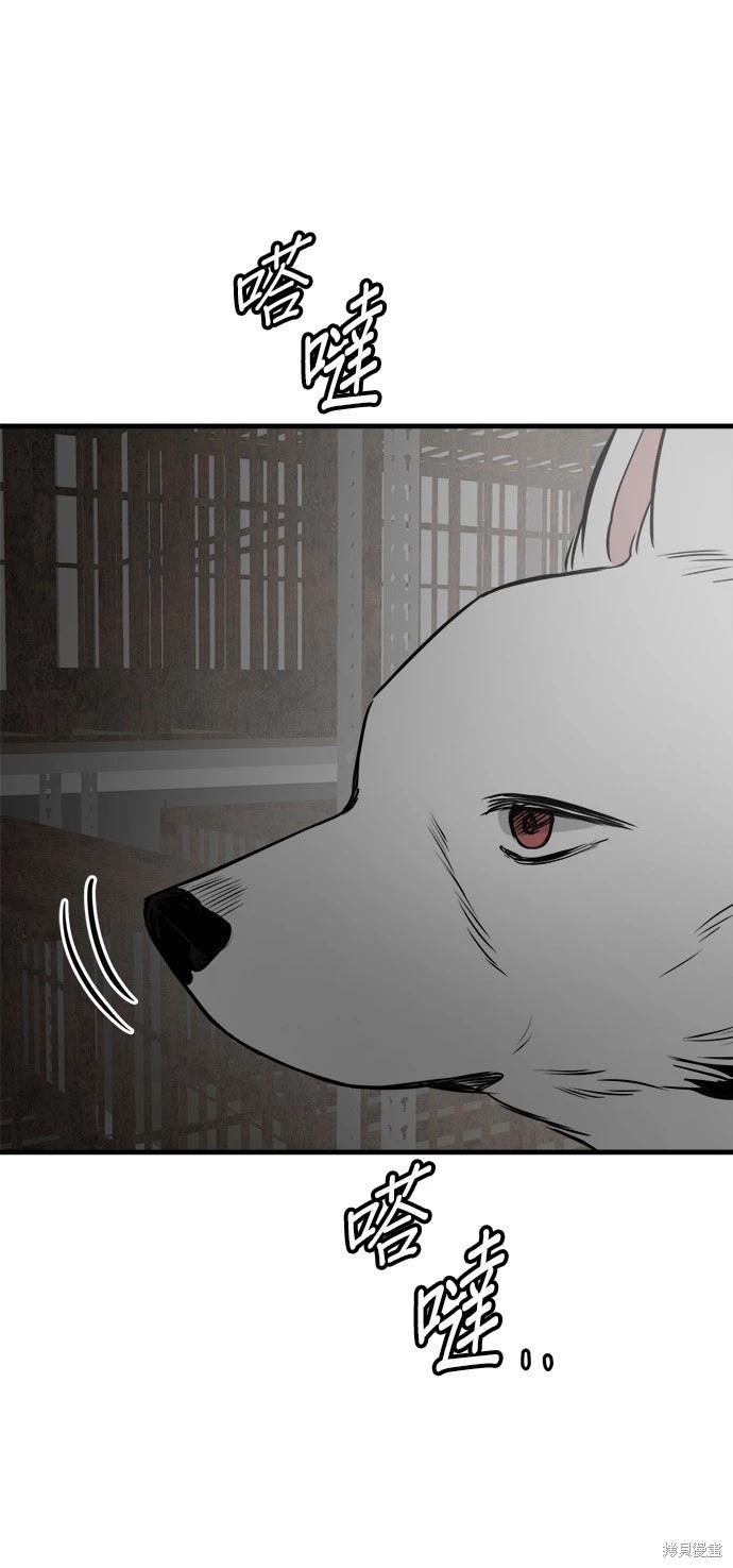 🍸狗狗末日生存法 第40话 第6页