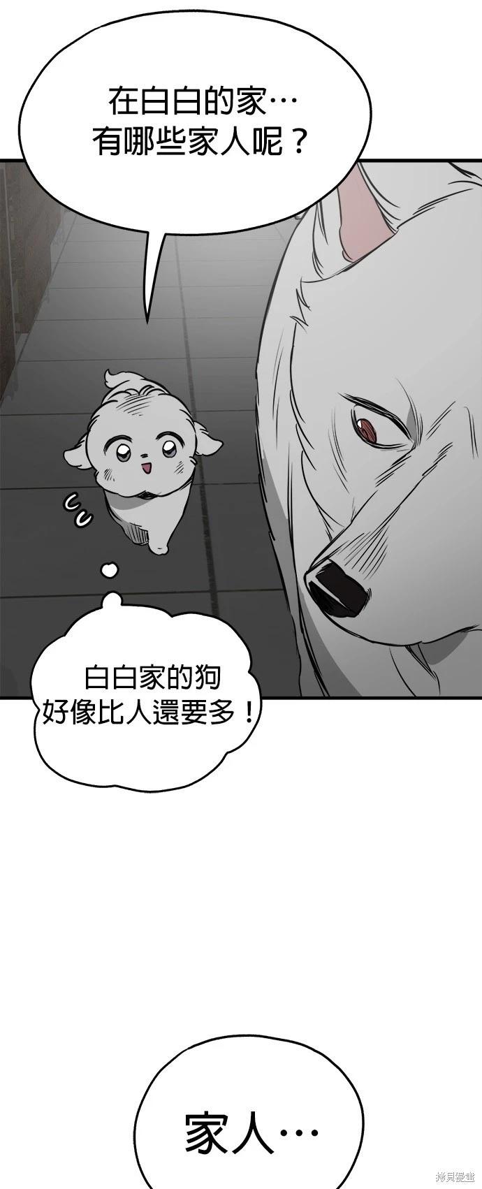 🍸狗狗末日生存法 第40话 第9页