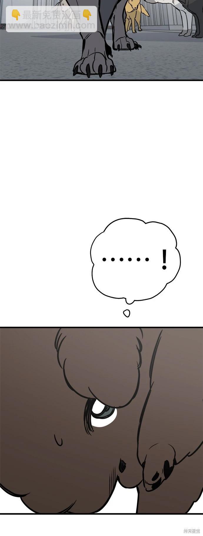 🍸狗狗末日生存法 第42话 第12页