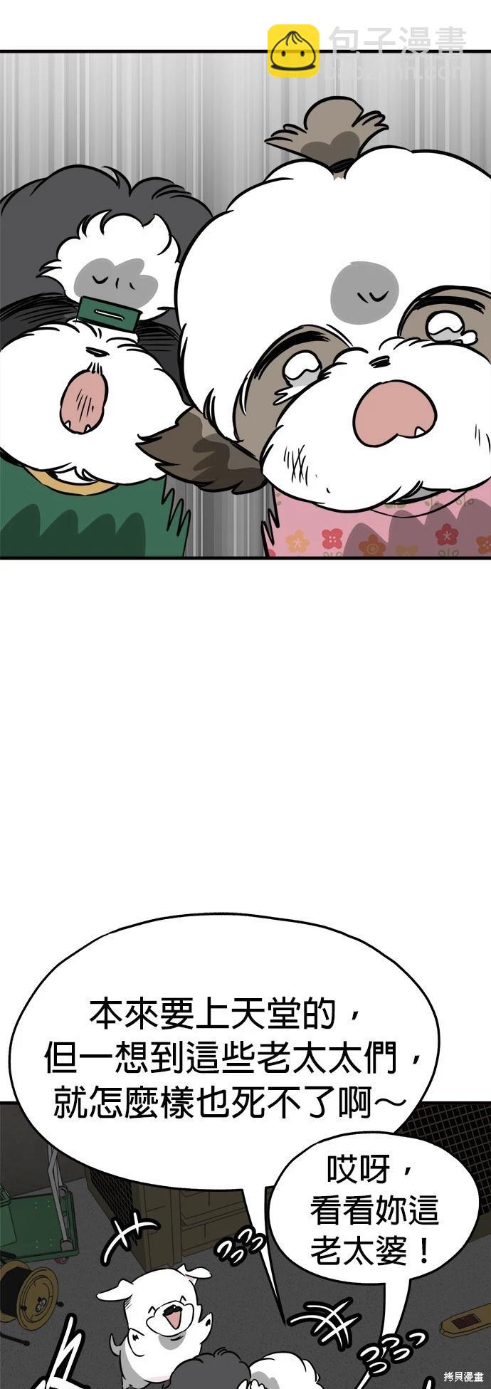 🍸狗狗末日生存法 第46话 第14页