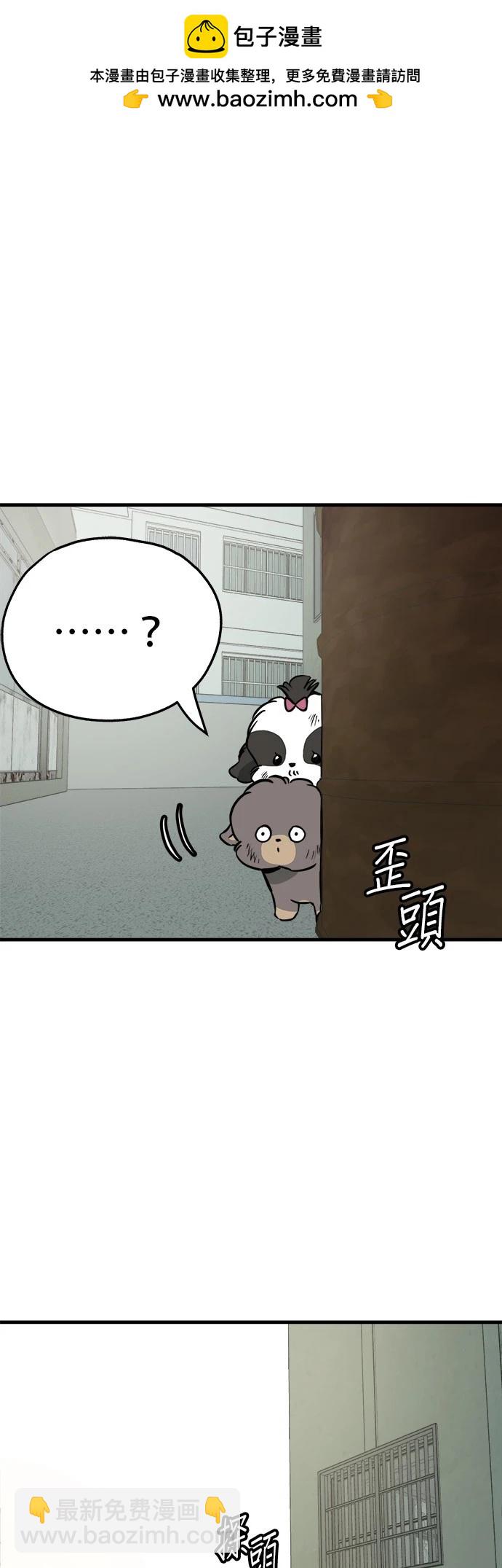 🍸狗狗末日生存法 第46话 第2页