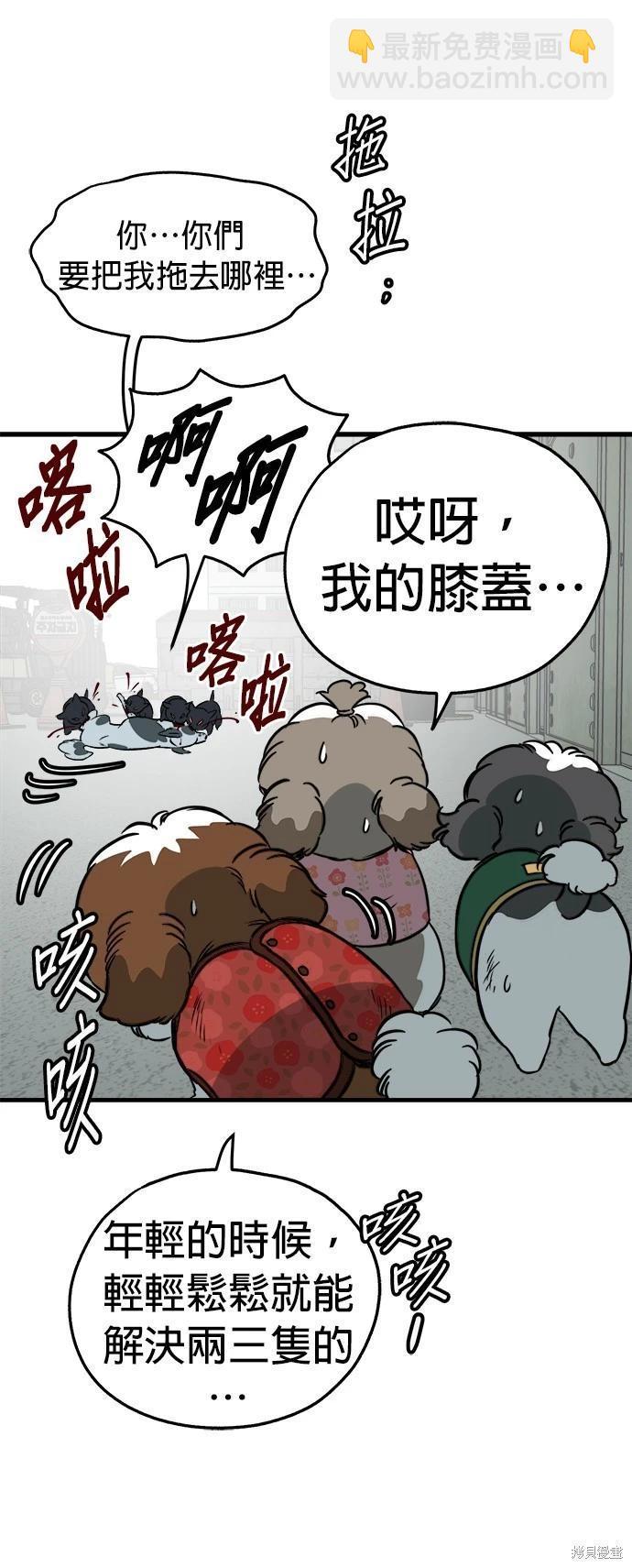 🍸狗狗末日生存法 第46话 第37页