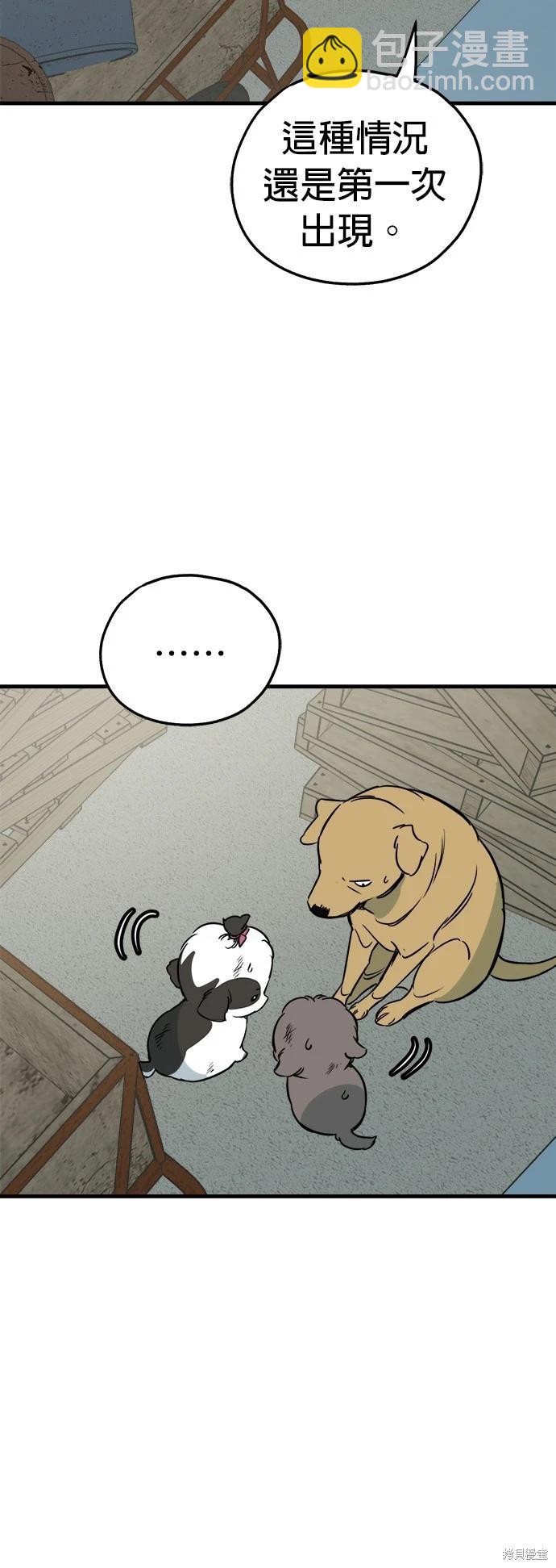 🍸狗狗末日生存法 第46话 第6页