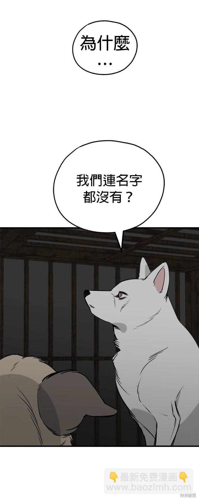 🍸狗狗末日生存法 第50话 第32页