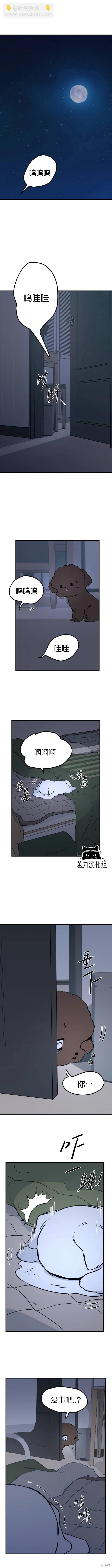 🍸狗狗末日生存法 第05话 第12页