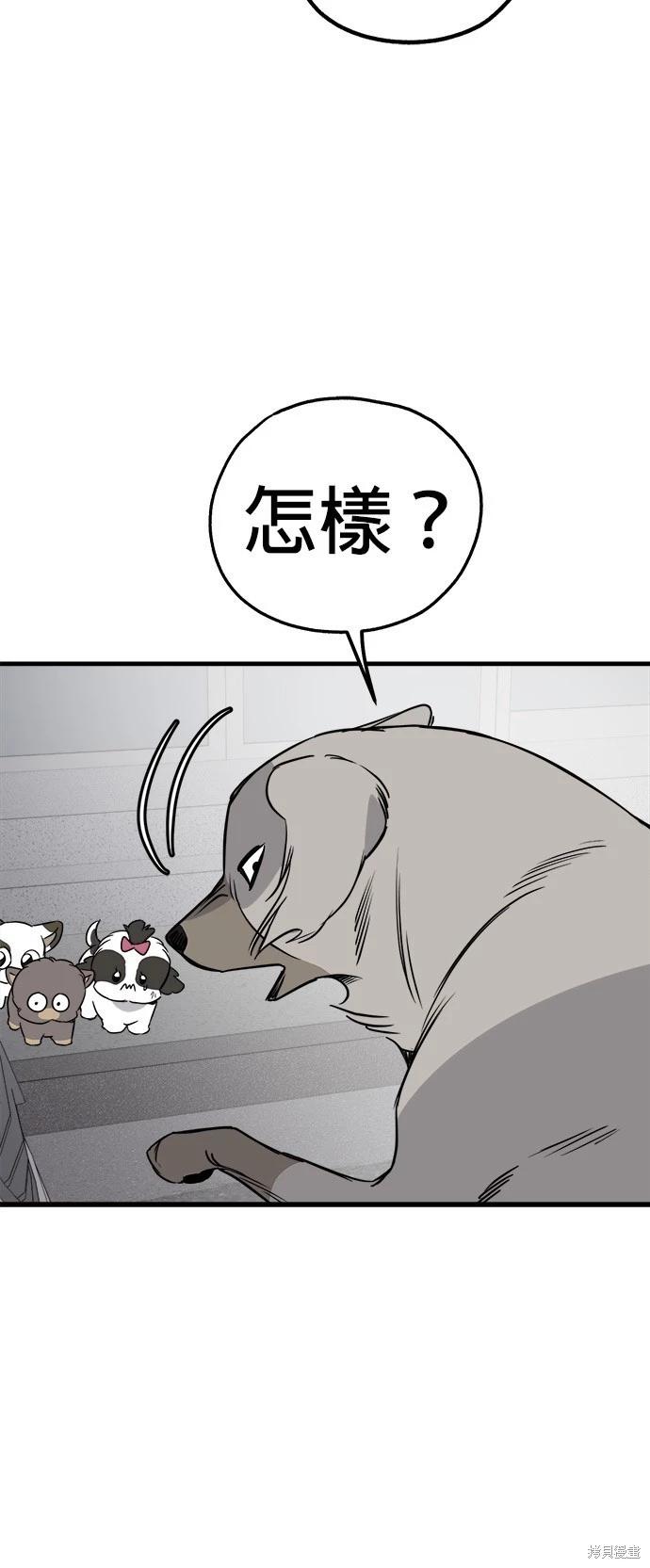 🍸狗狗末日生存法 第52话 第12页