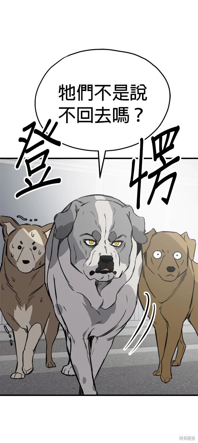 🍸狗狗末日生存法 第52话 第13页