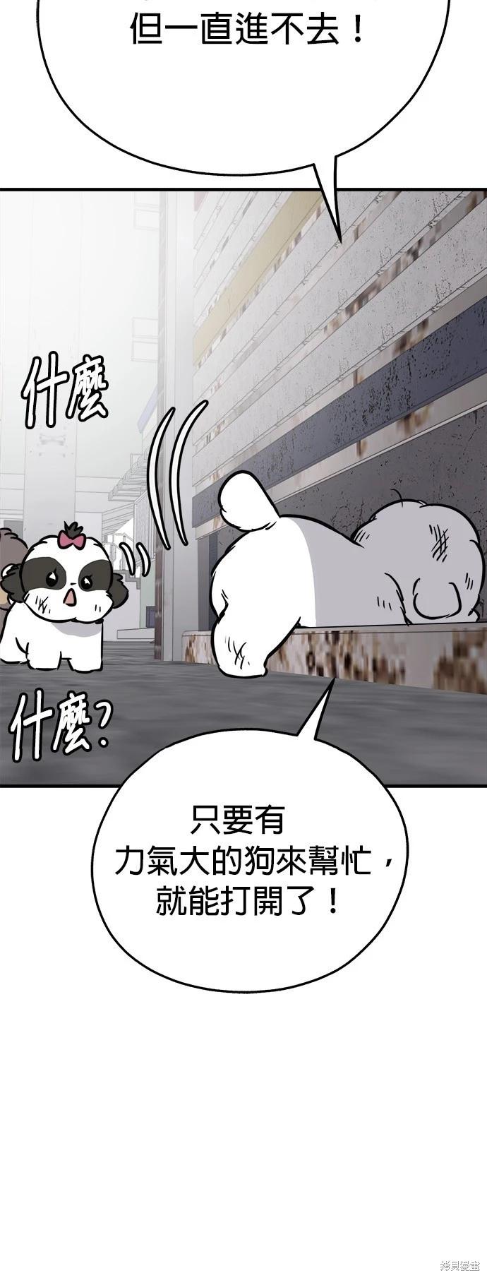🍸狗狗末日生存法 第52话 第24页