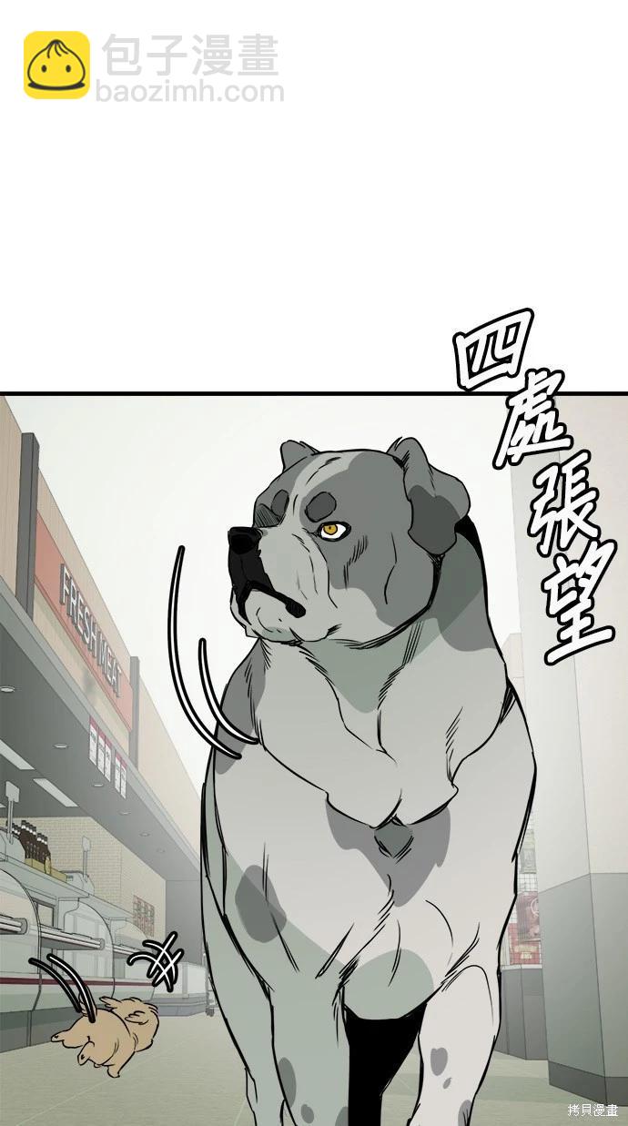 🍸狗狗末日生存法 第52话 第33页