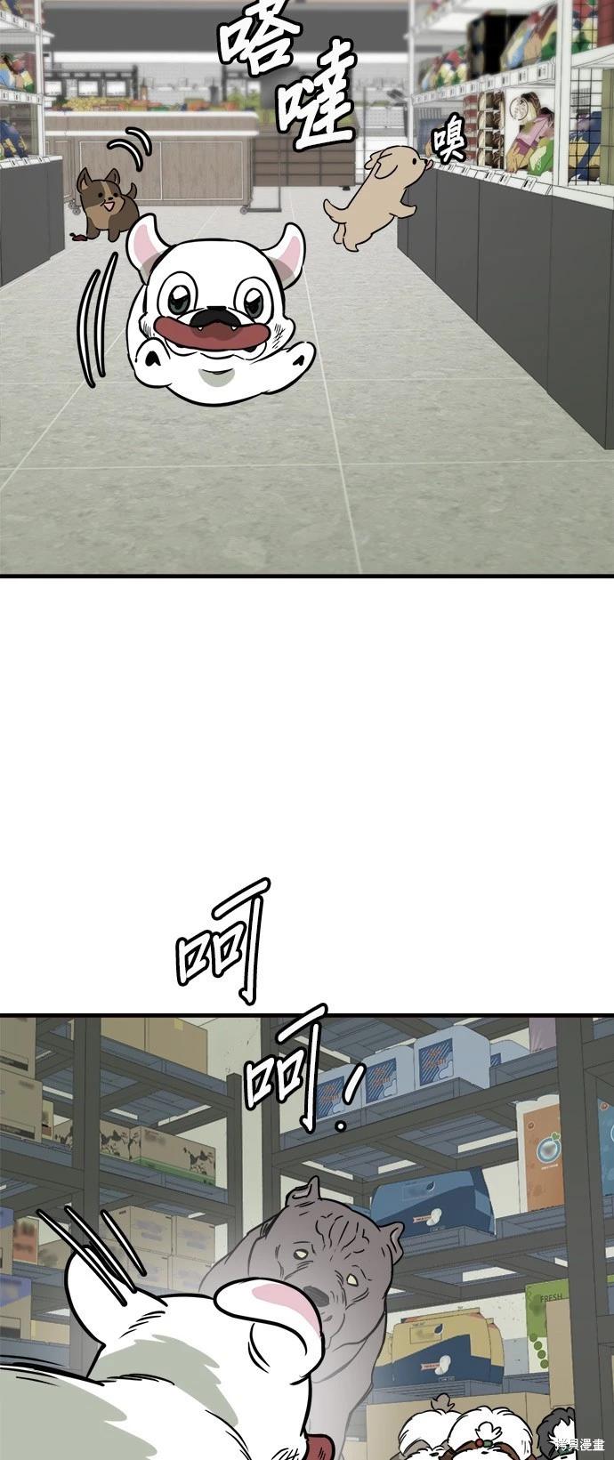🍸狗狗末日生存法 第52话 第42页