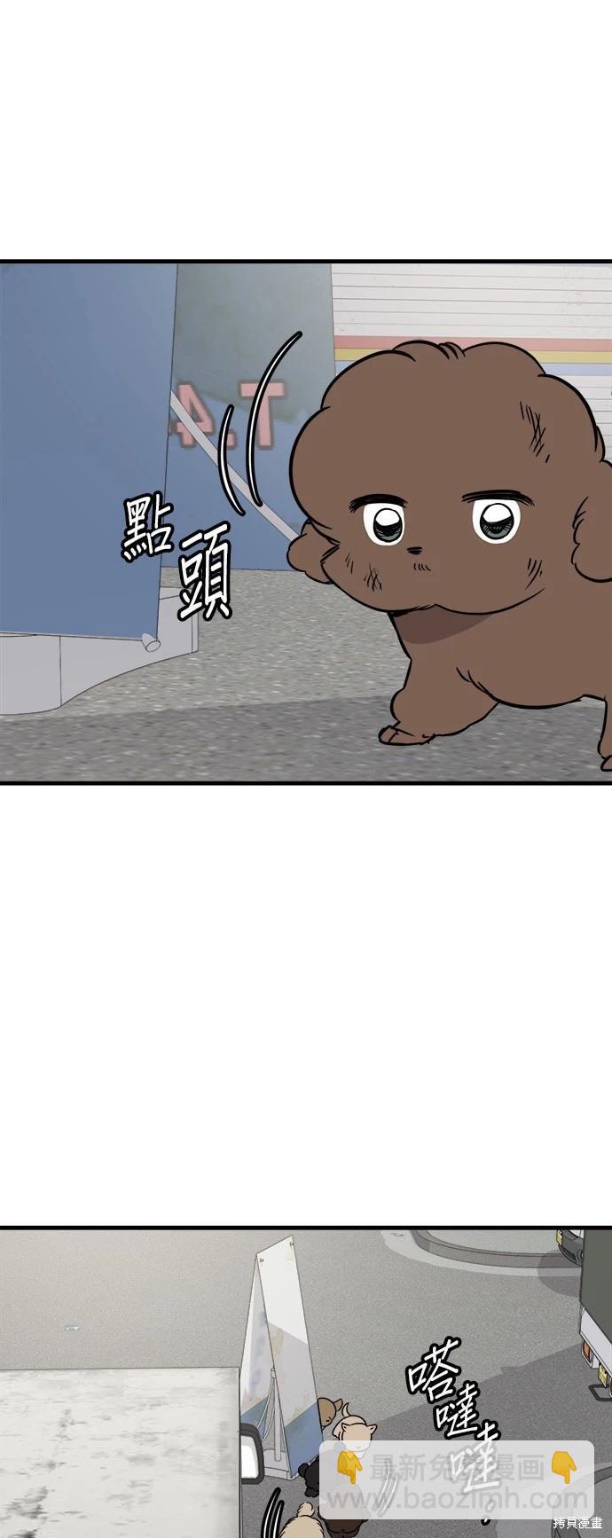 🍸狗狗末日生存法 第52话 第5页