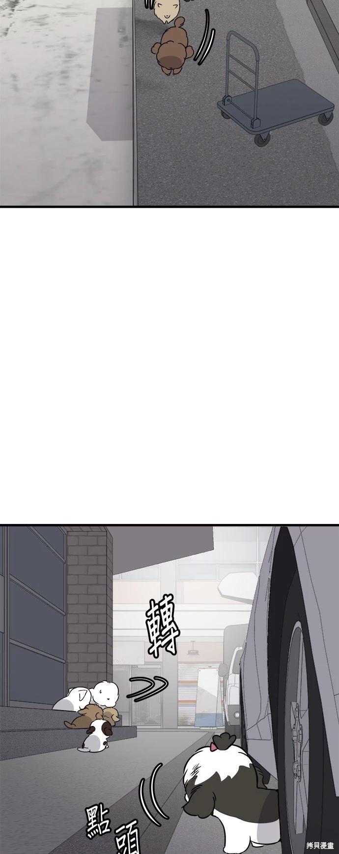 🍸狗狗末日生存法 第52话 第6页