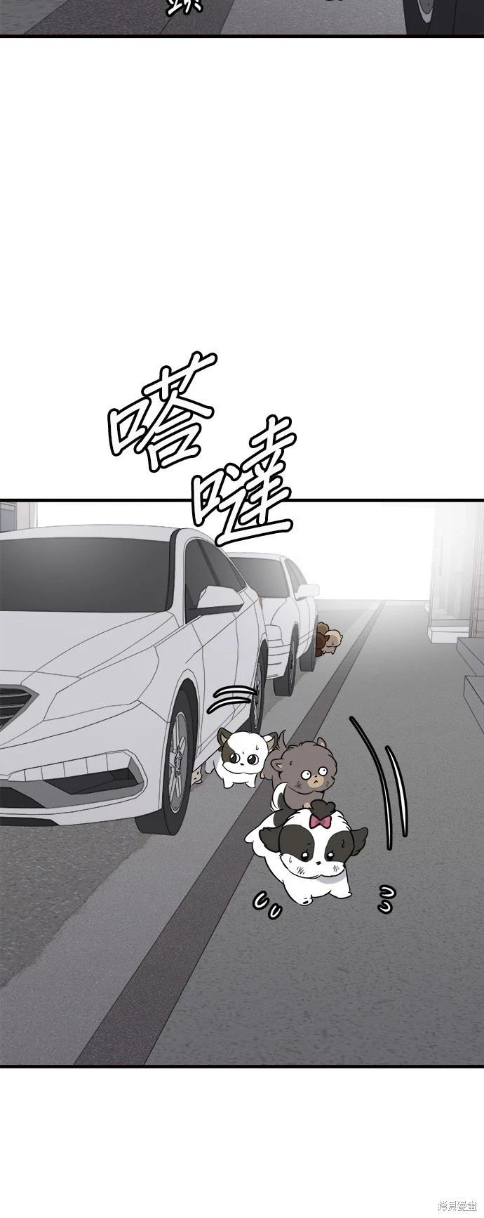 🍸狗狗末日生存法 第52话 第7页