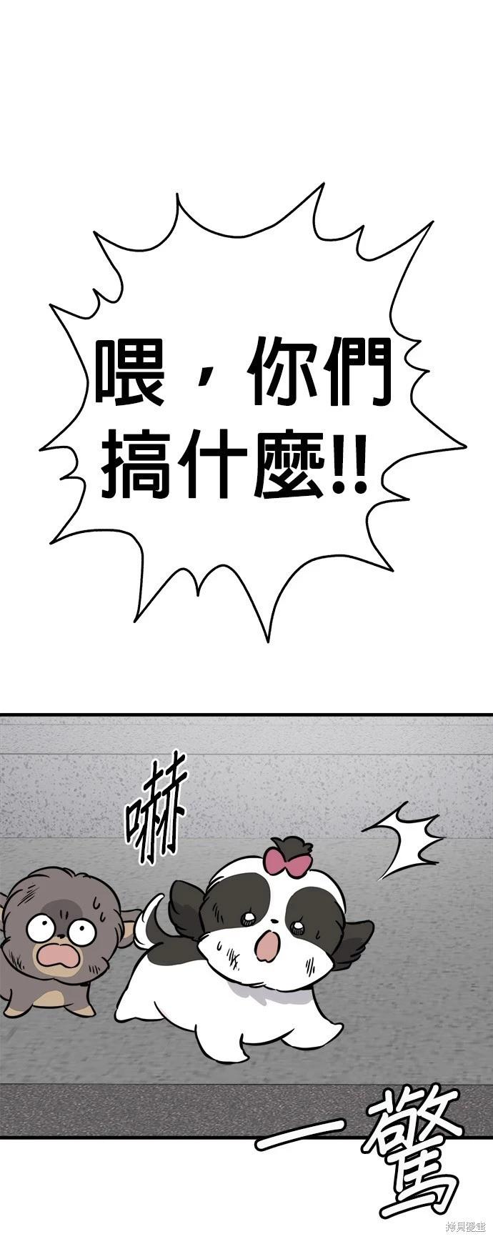 🍸狗狗末日生存法 第52话 第8页