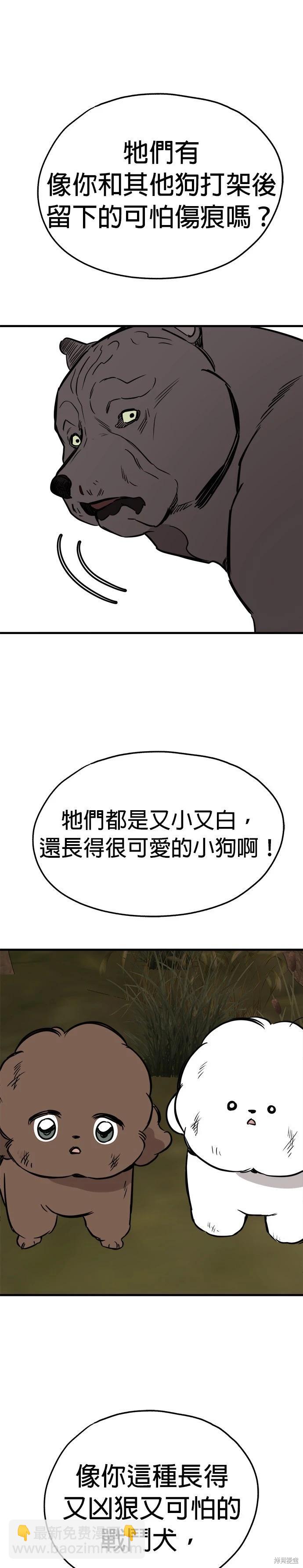 🍸狗狗末日生存法 第58话 第29页