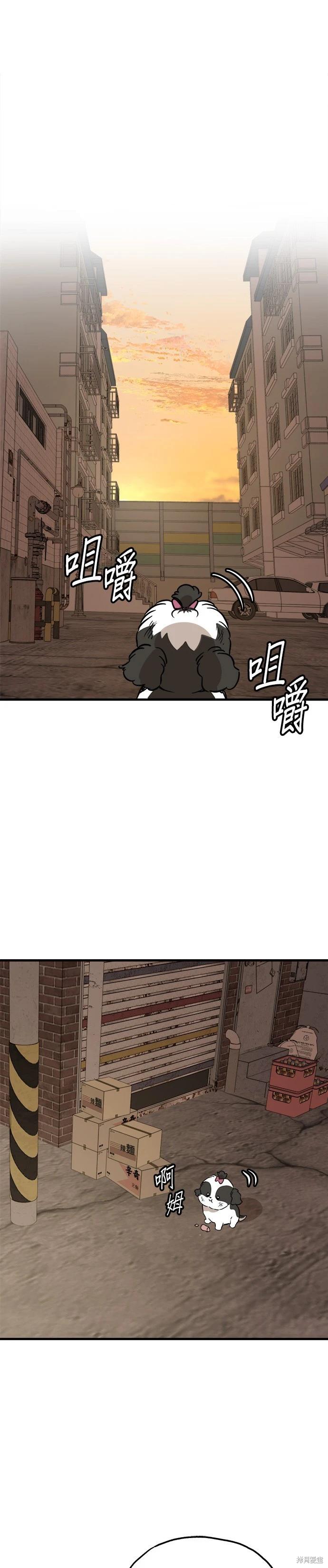 🍸狗狗末日生存法 第60话 第1页