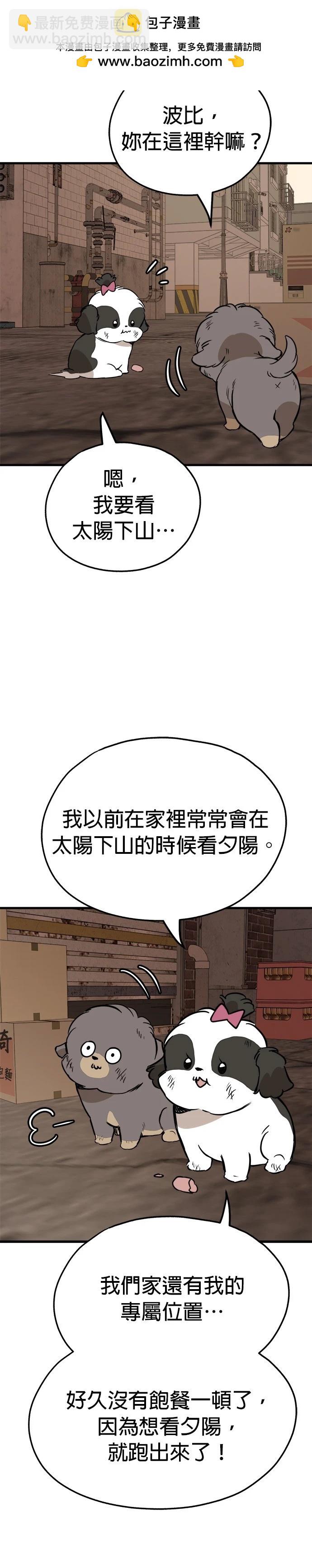 🍸狗狗末日生存法 第60话 第2页