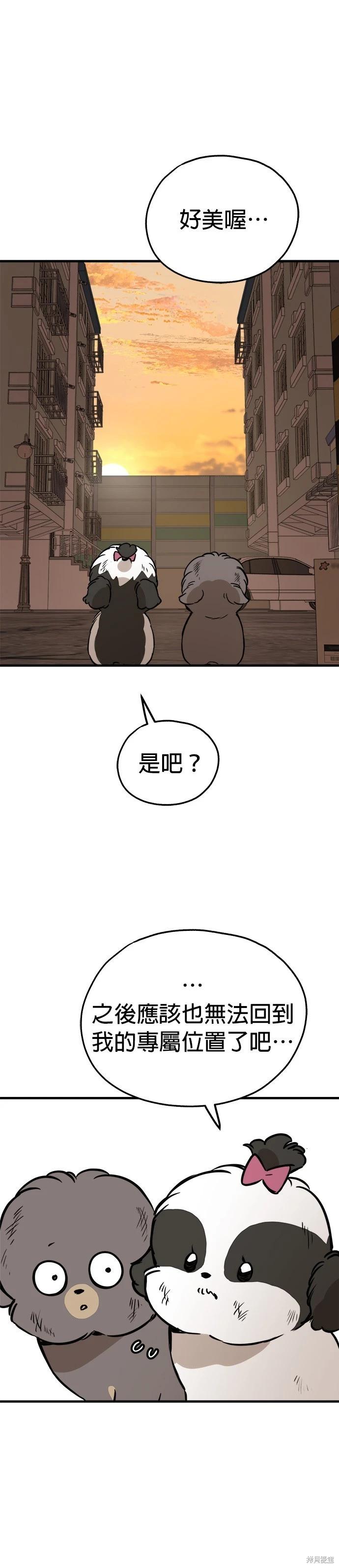 🍸狗狗末日生存法 第60话 第3页