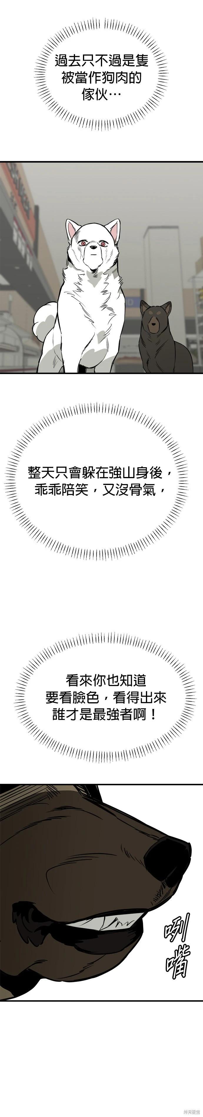 🍸狗狗末日生存法 第64话 第13页