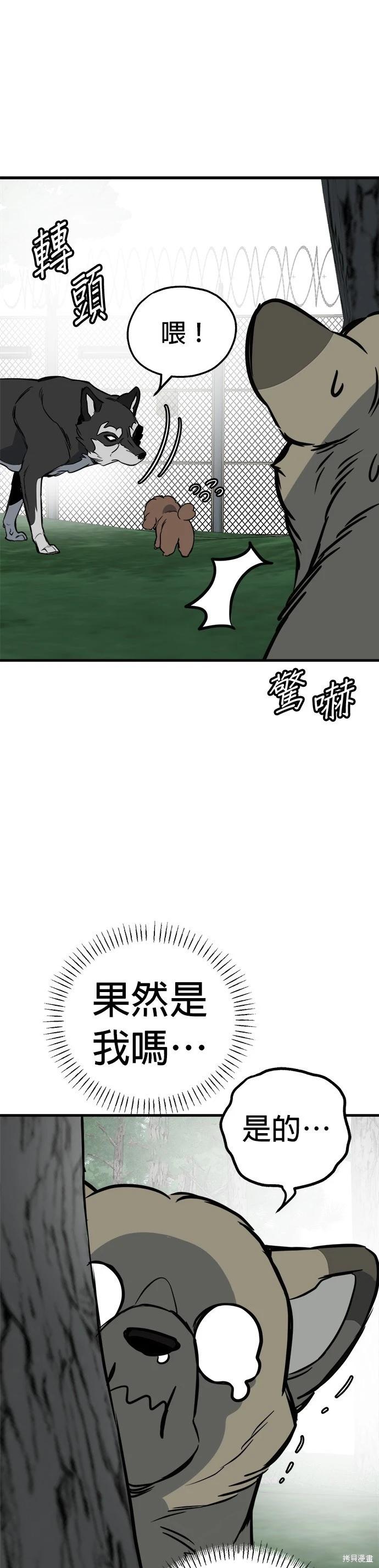 🍸狗狗末日生存法 第64话 第21页
