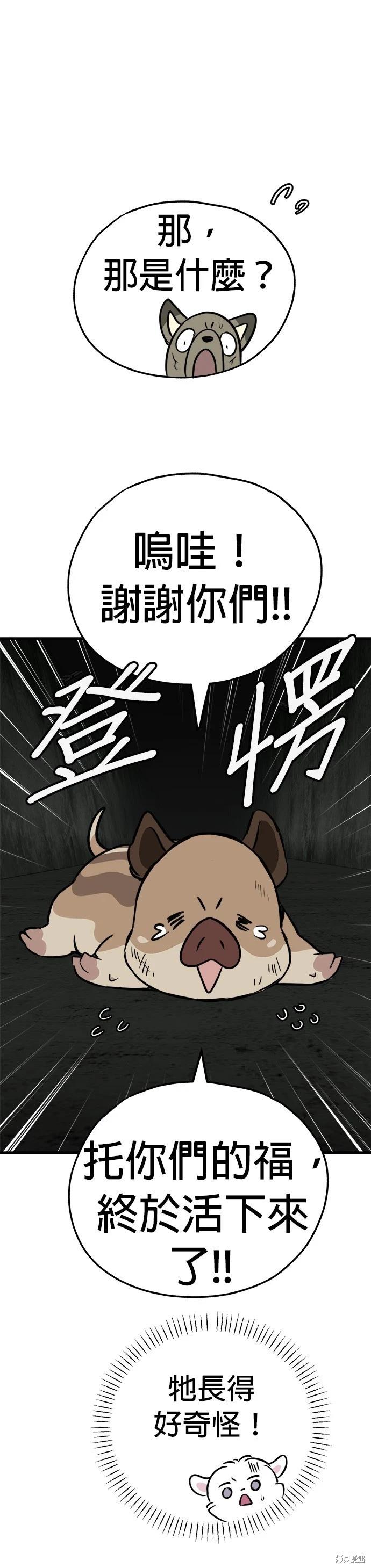 🍸狗狗末日生存法 第66话 第20页